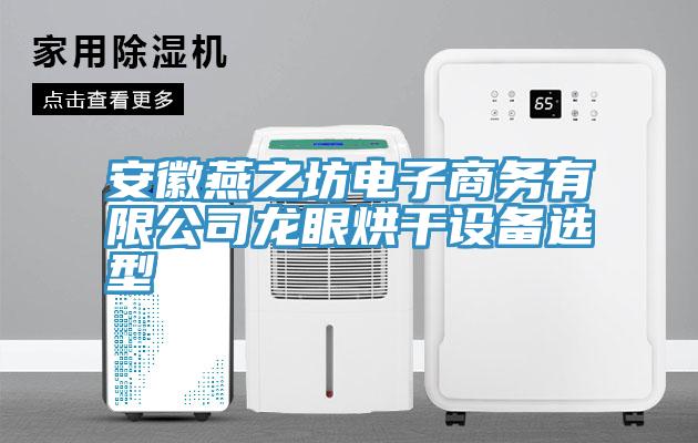 安徽燕之坊電子商務有限公司龍眼烘干設(shè)備選型