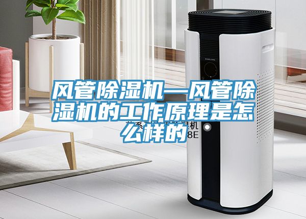 風(fēng)管除濕機—風(fēng)管除濕機的工作原理是怎么樣的