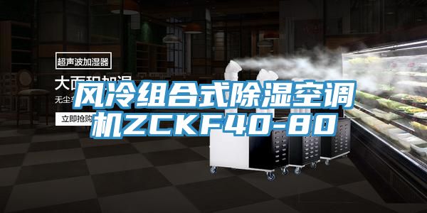 風冷組合式除濕空調(diào)機ZCKF40-80