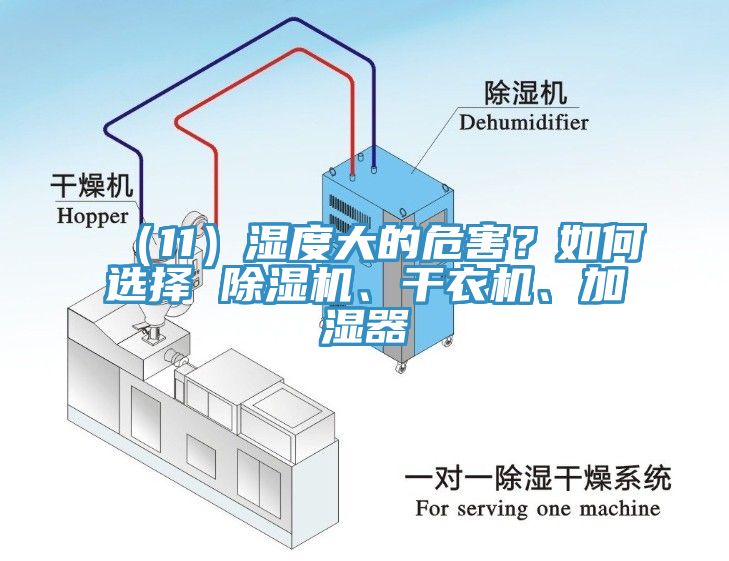 （11）濕度大的危害？如何選擇 除濕機(jī)、干衣機(jī)、加濕器