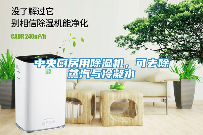 中央廚房用除濕機(jī)，可去除蒸汽與冷凝水