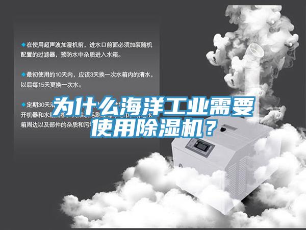 為什么海洋工業(yè)需要使用除濕機(jī)？