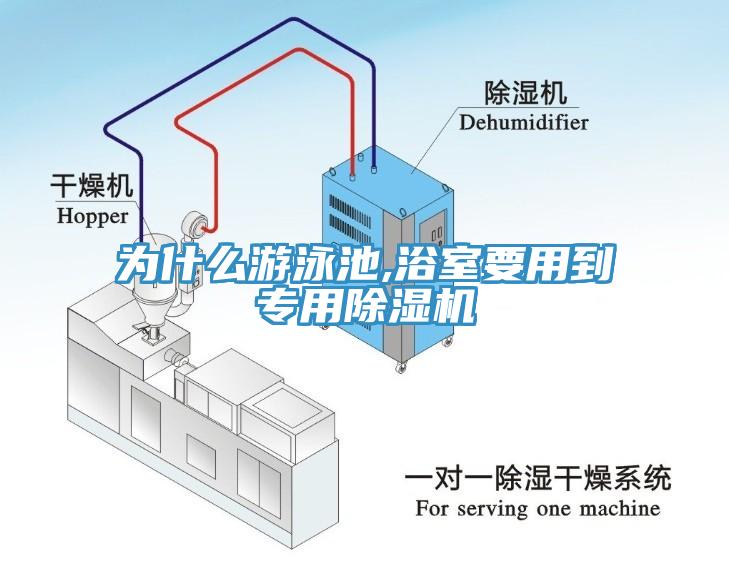 為什么游泳池,浴室要用到專用除濕機(jī)