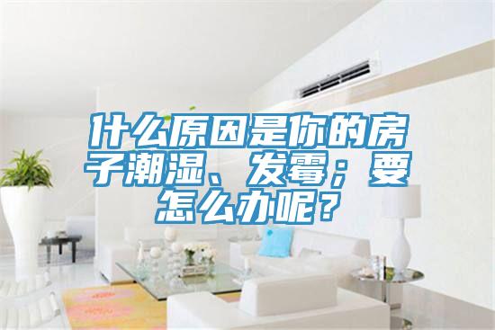 什么原因是你的房子潮濕、發(fā)霉；要怎么辦呢？