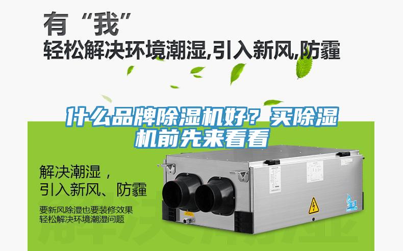 什么品牌除濕機好？買除濕機前先來看看